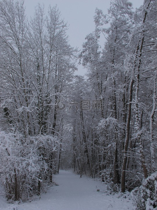 雪,法国,免费的图片