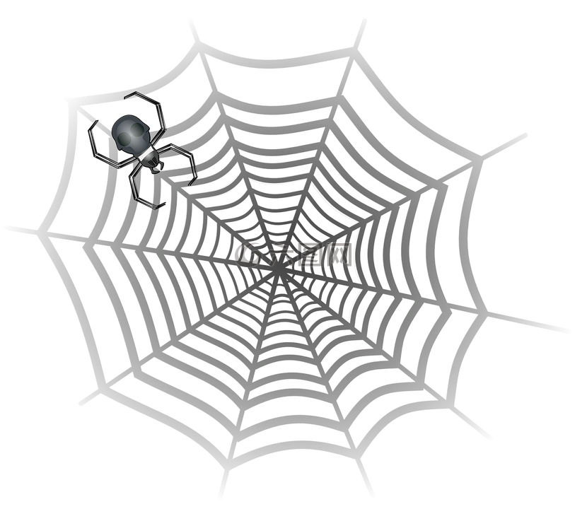 蜘蛛 蛛网 蜘蛛网高清图库素材免费下载 图片编号 六图网