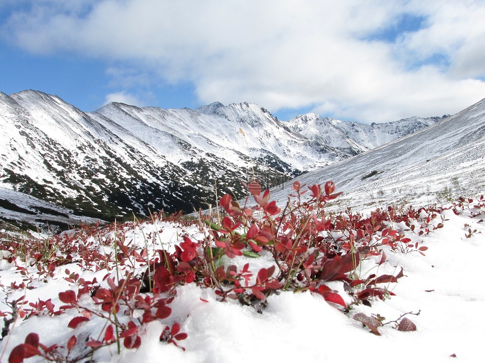 山,秋季,第一场雪