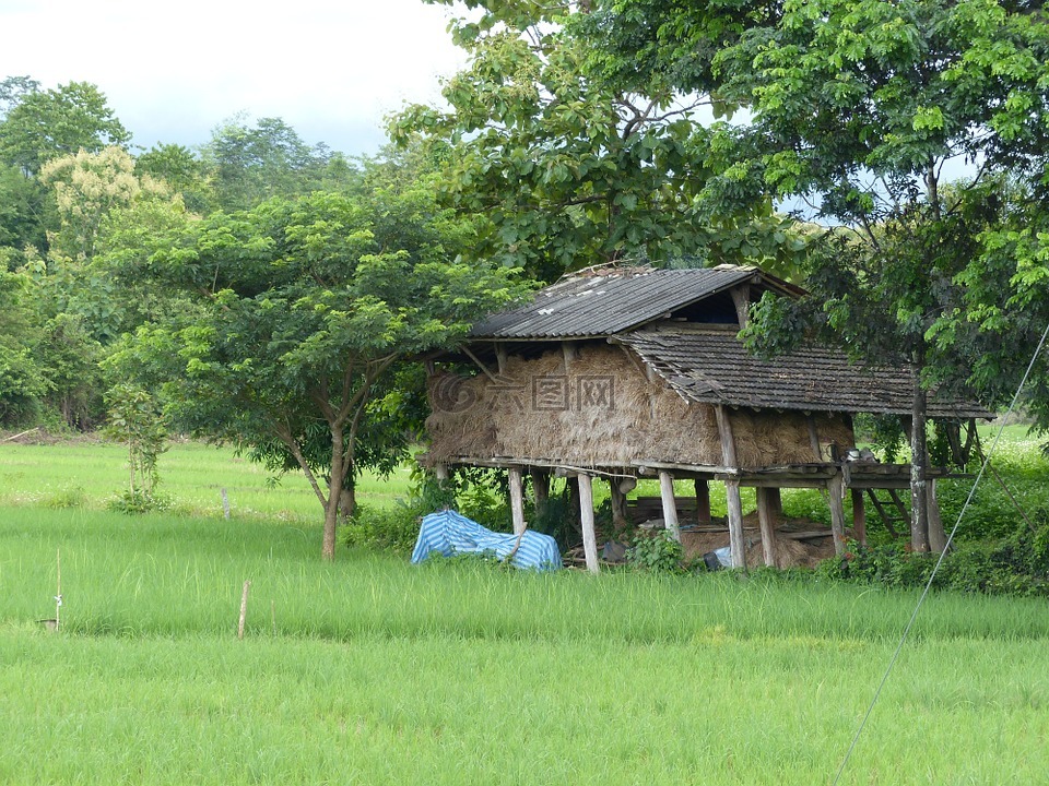 米仓,南邦,泰国