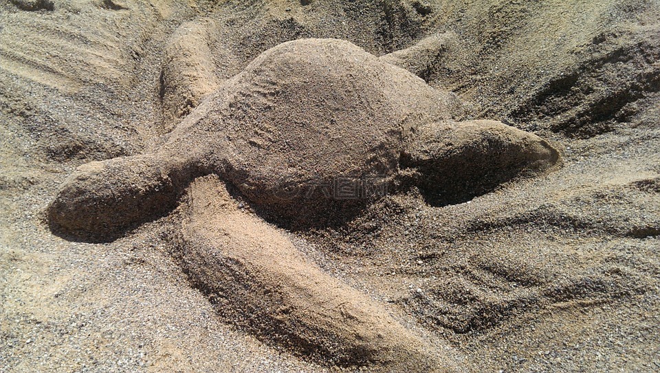 龟,砂,砂雕塑