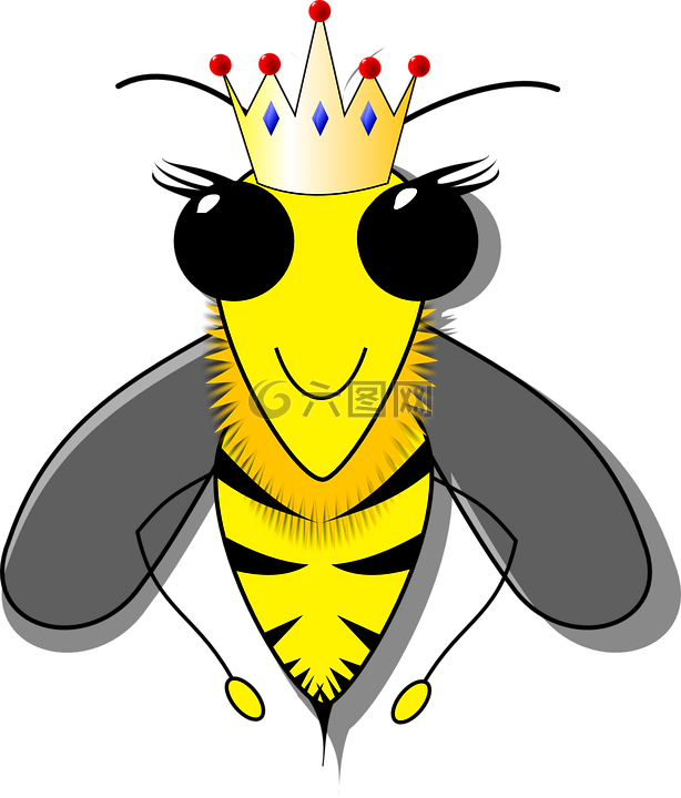 女王蜂,蜜蜂,蜂巢