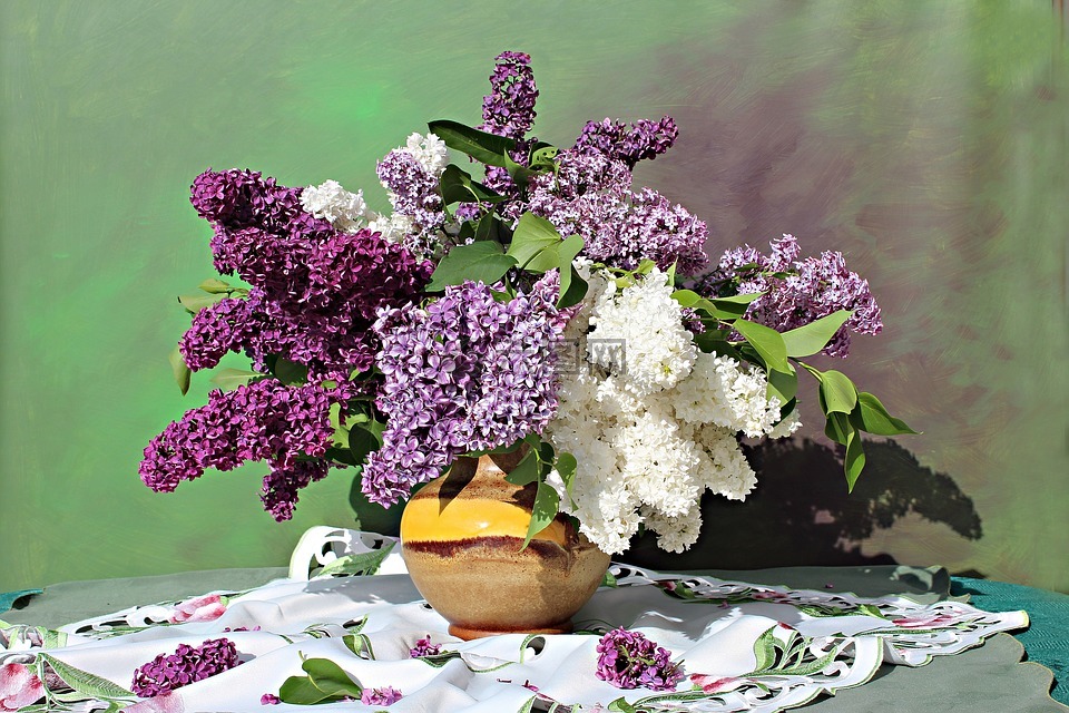 淡紫色花束,淡紫色的花,静物