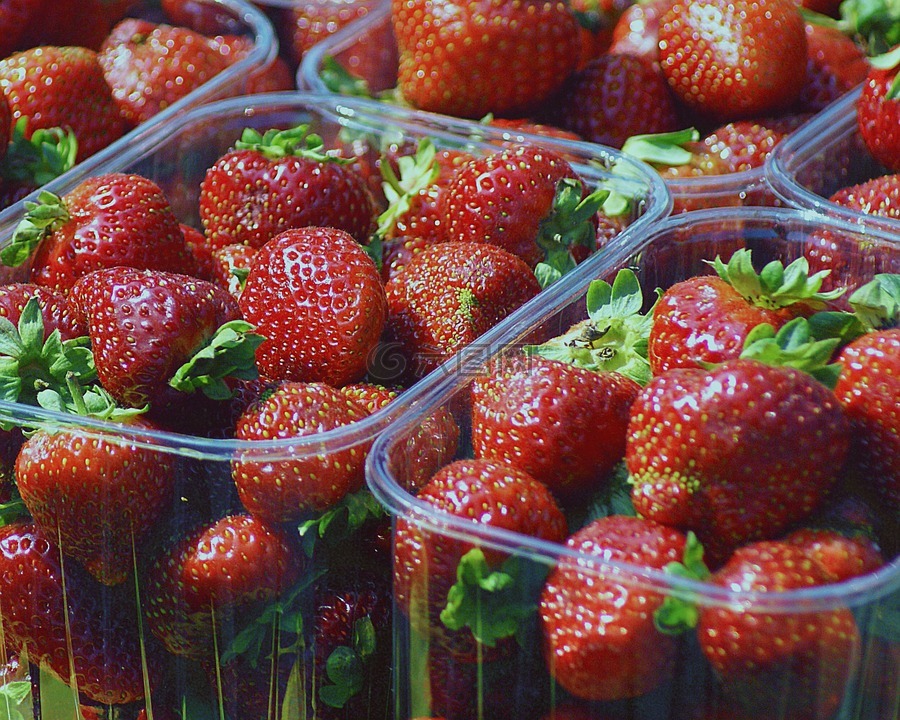 草莓,水果,饮食