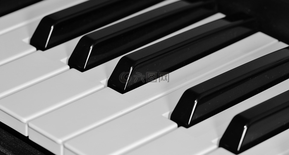 钢琴,键盘,键