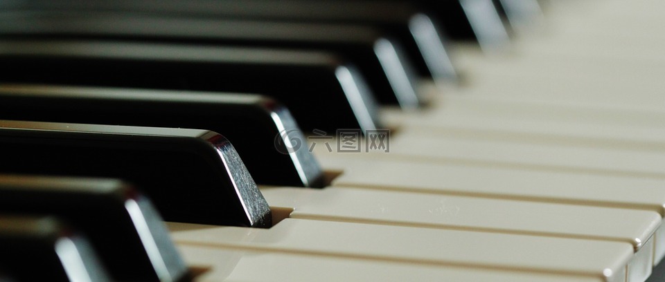 钢琴,键盘,键