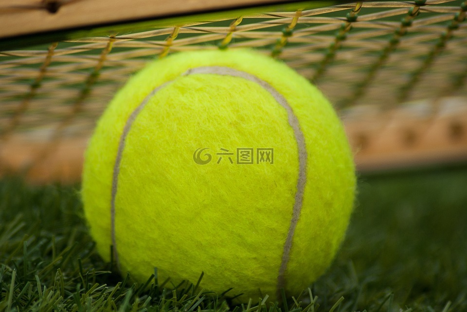 网球,球拍,体育