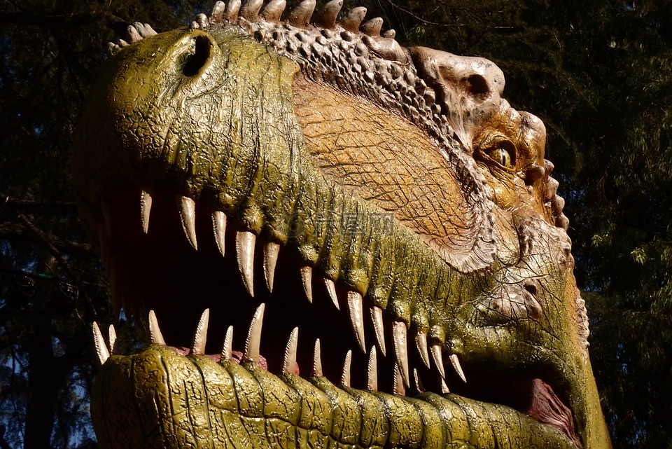 恐龙的脸,牙齿,头