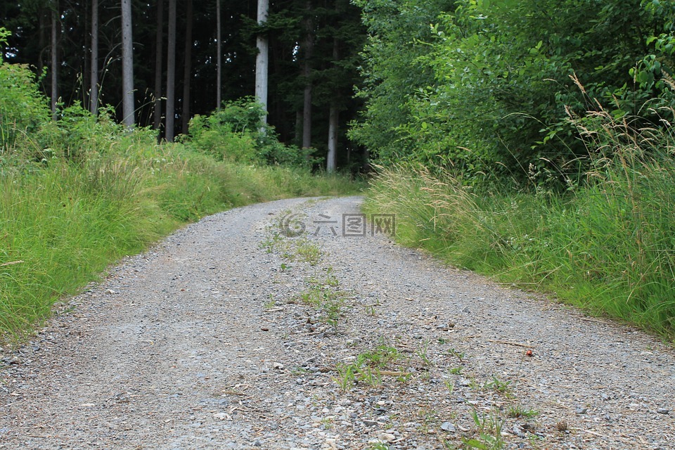 砾石路,森林路径,离