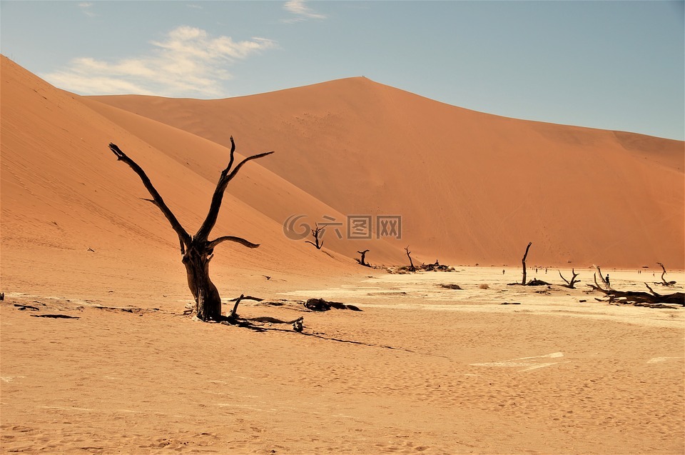 纳米布沙漠,纳米比亚,沙漠