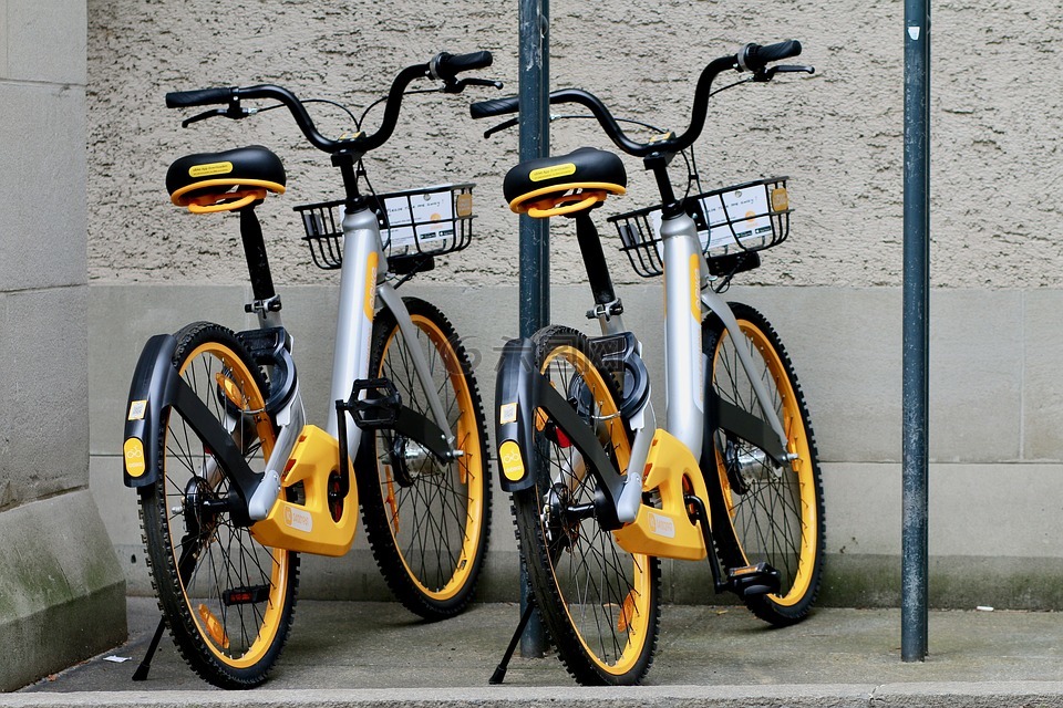 o-自行车,自行车租赁,应用程序的控制
