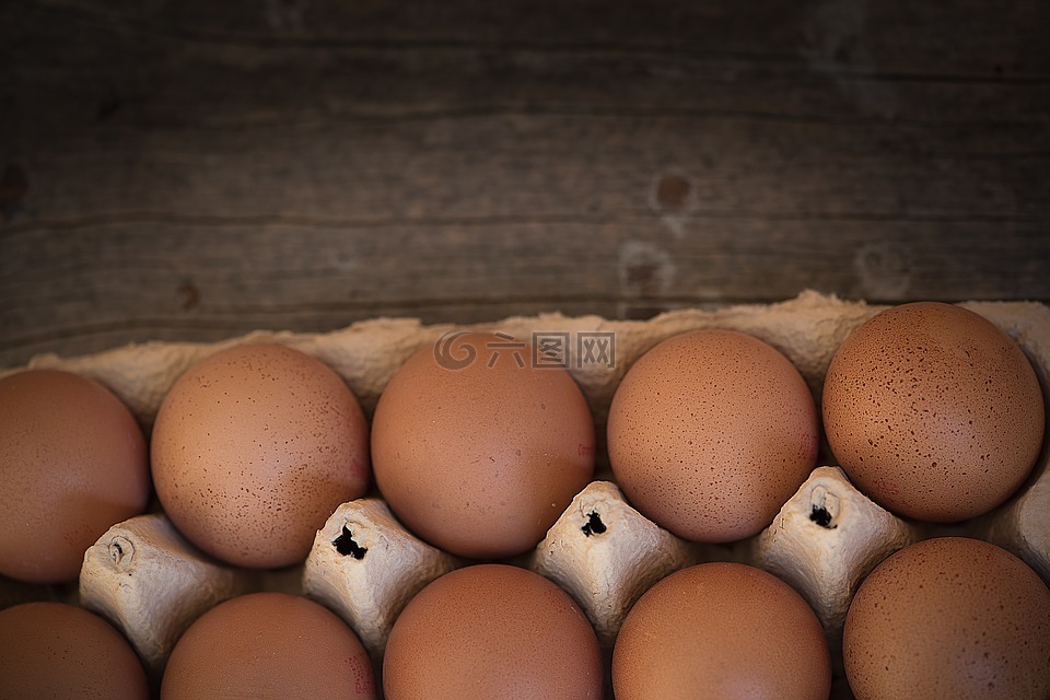 蛋,鸡鸡蛋,蛋盒