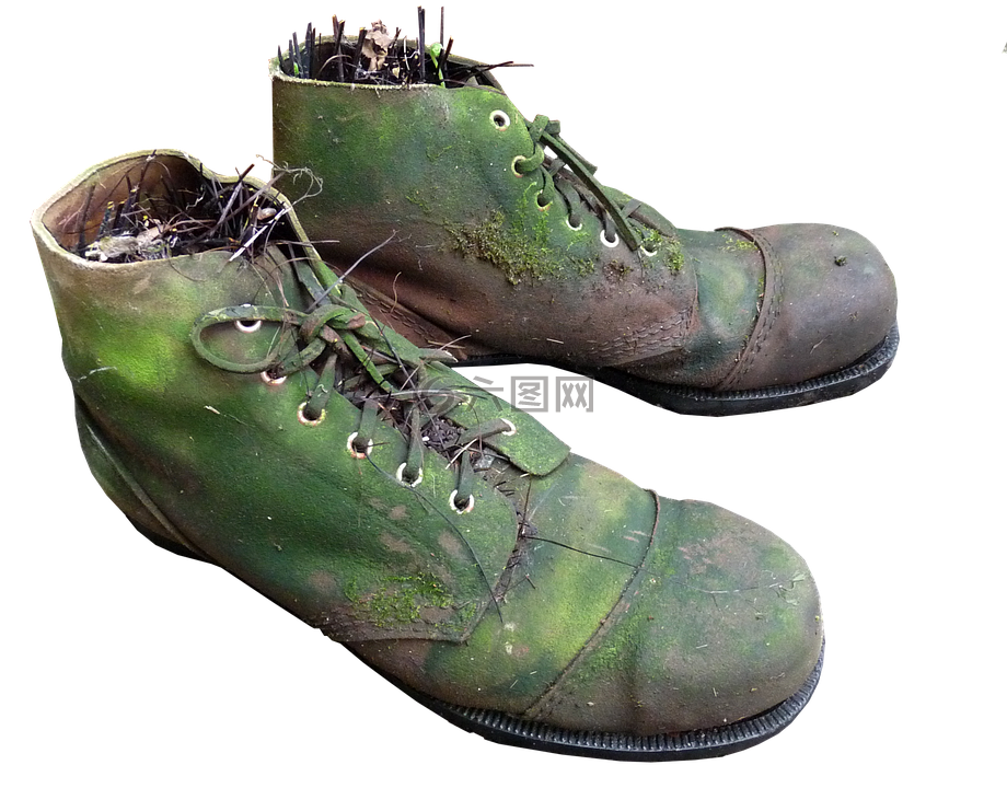 旧靴子,苔,播种机