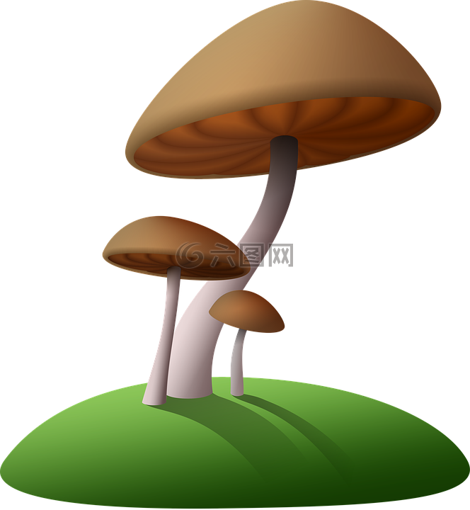 蘑菇,岛,卡通