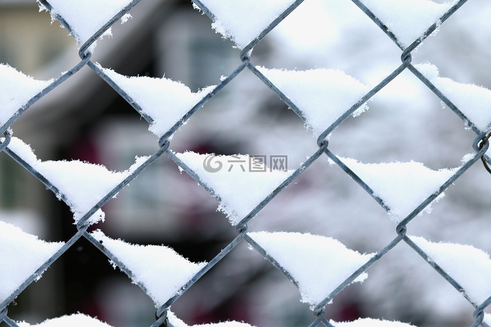 金属丝网,雪,冬天