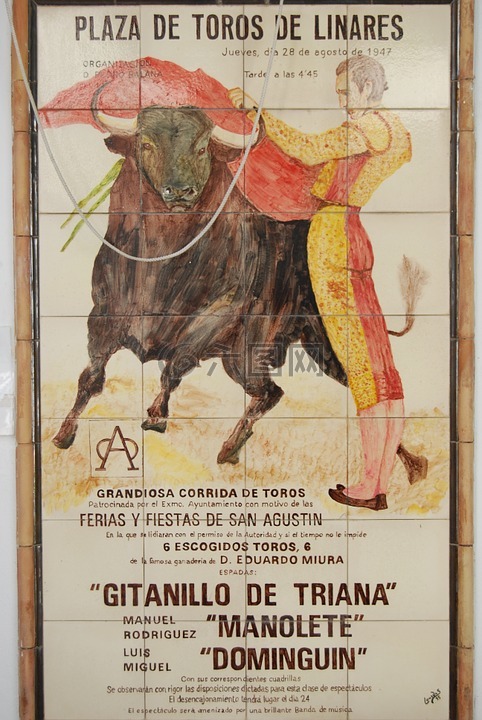 牛市,斗牛士,西班牙