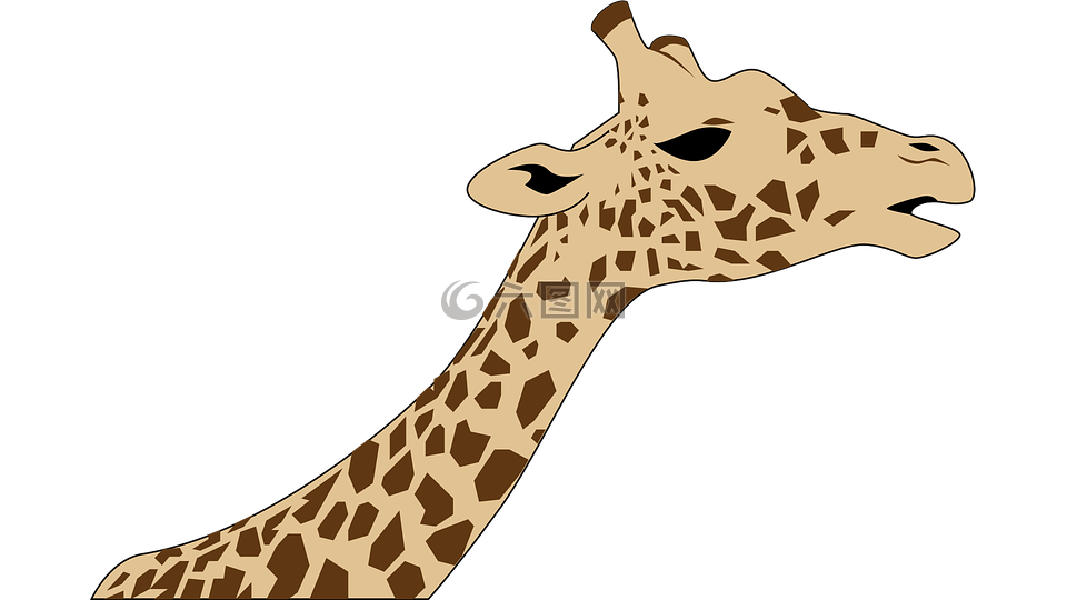 长颈鹿,野生动物园,动物园