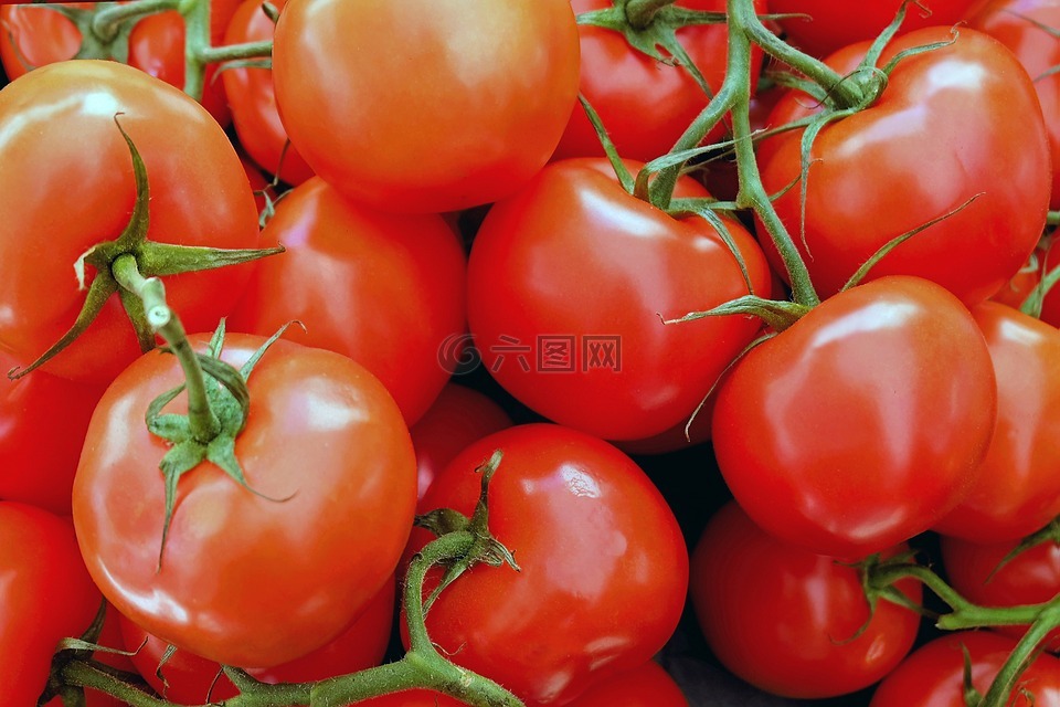 蕃茄,蔬菜,红色