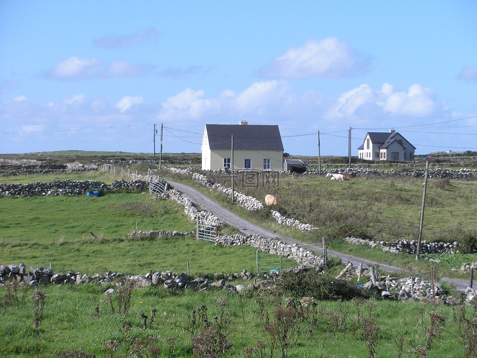 爱尔兰,农田,景观