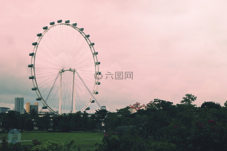 新加坡,粉红色,自然