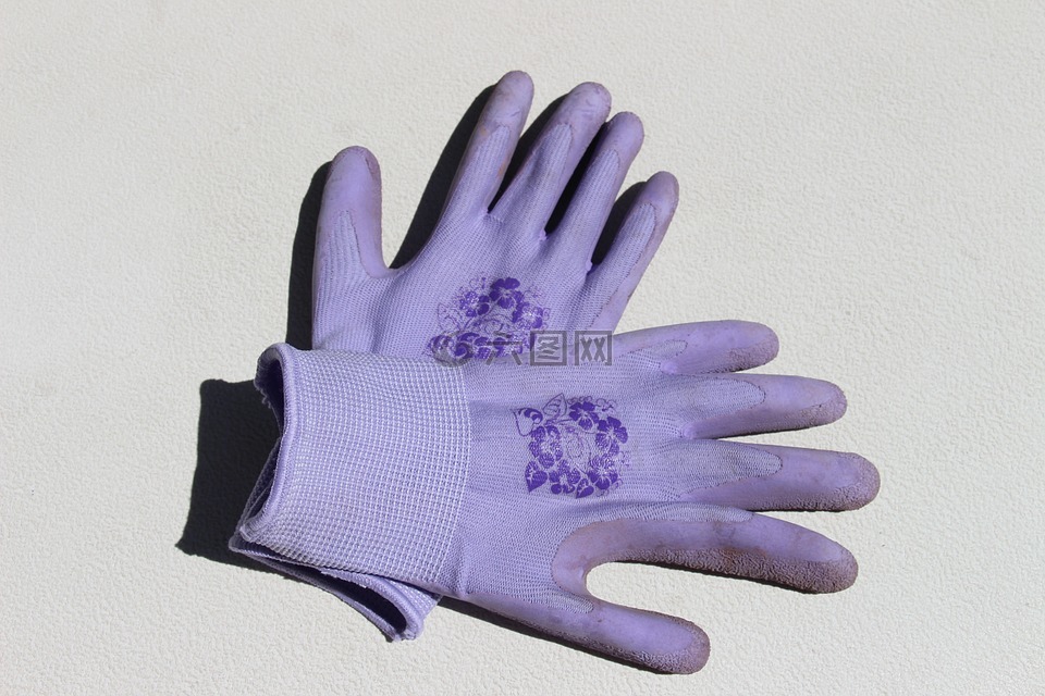 园艺手套,紫,手套