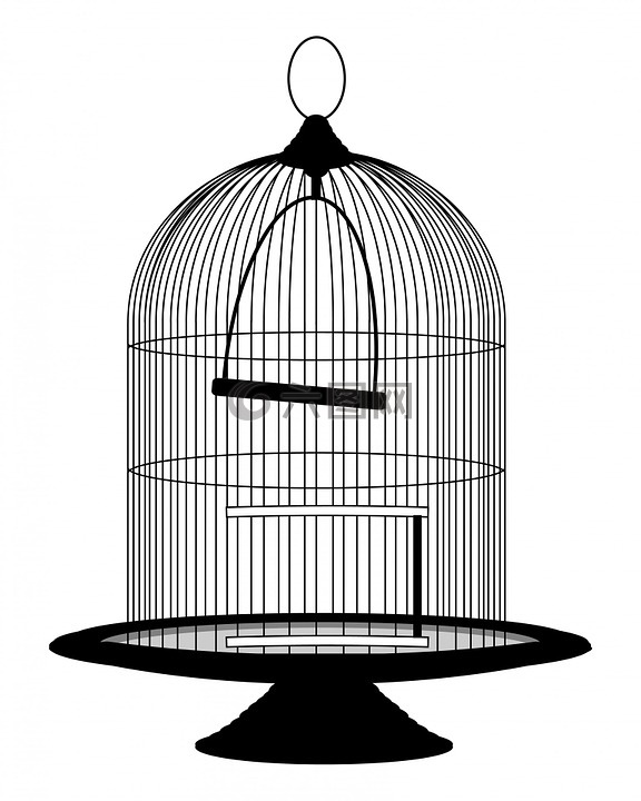 笼子里的鸟,笼,鸟笼