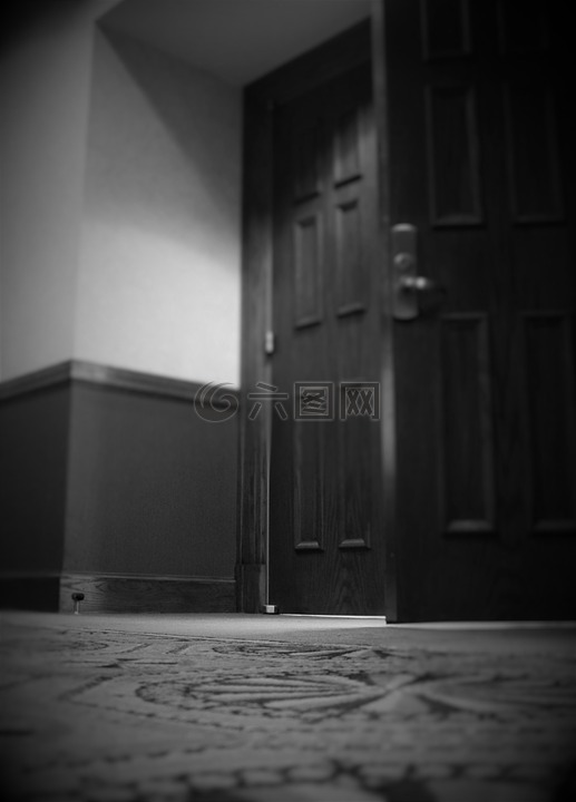 门,黑色和白色,光