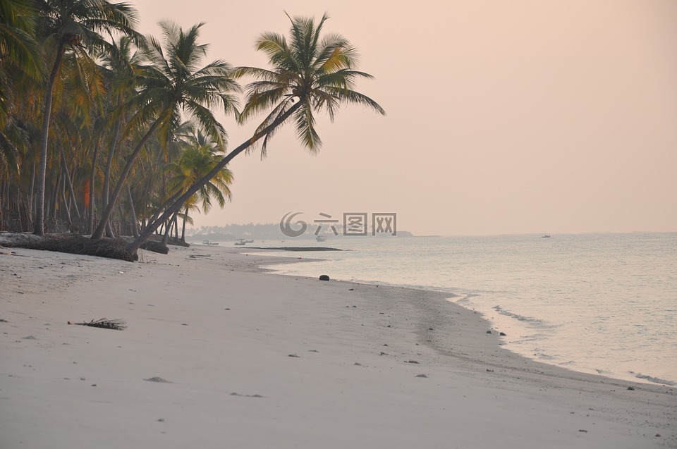 海滩,印度,拉克沙群岛