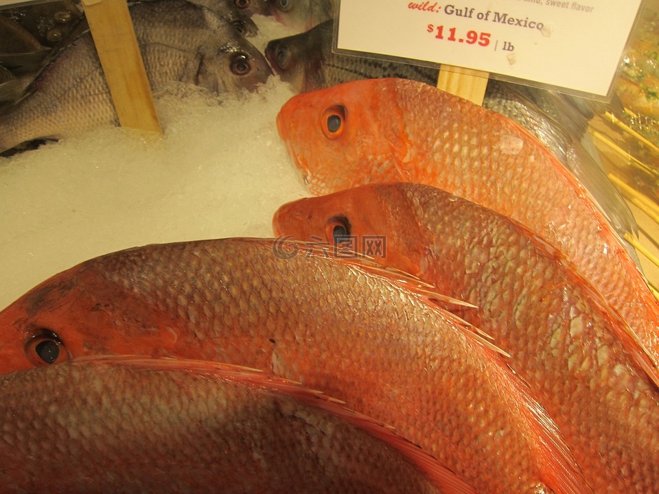 鱼,鲷鱼,鱼市场