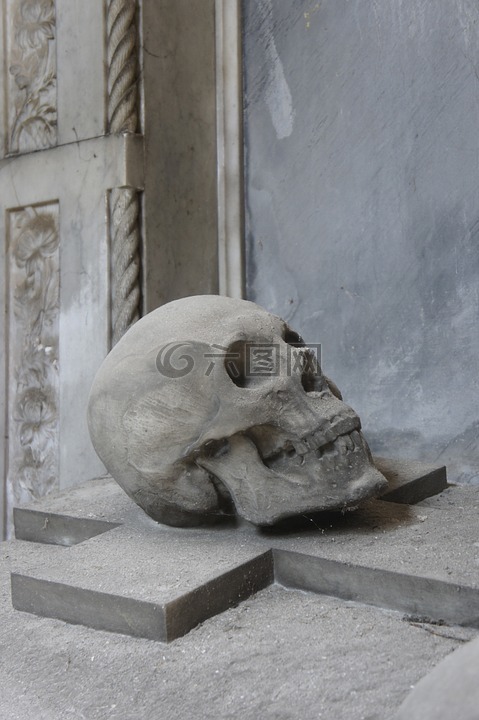 头骨,雕塑,石