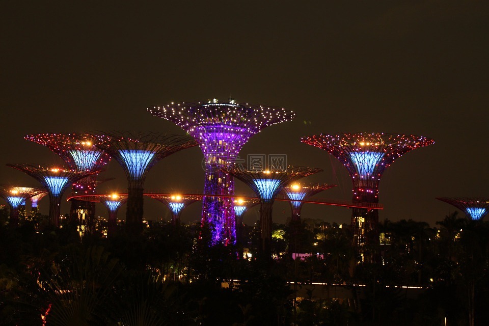 夜景,新加坡,海湾花园