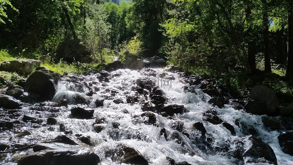 溪,山流,山区河流