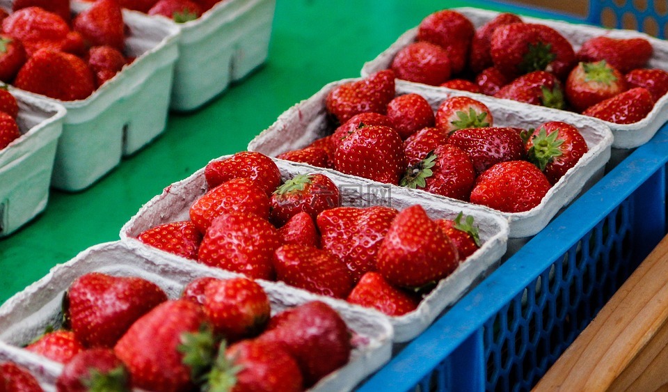 草莓,红色,甜
