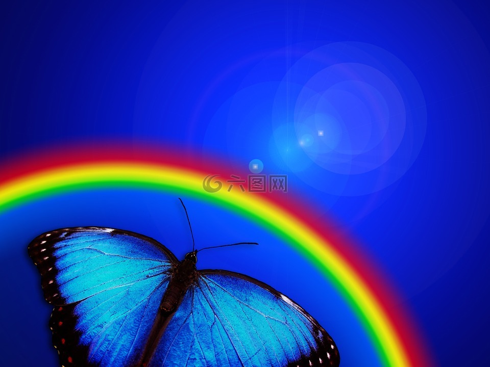 蝴蝶,彩虹,光