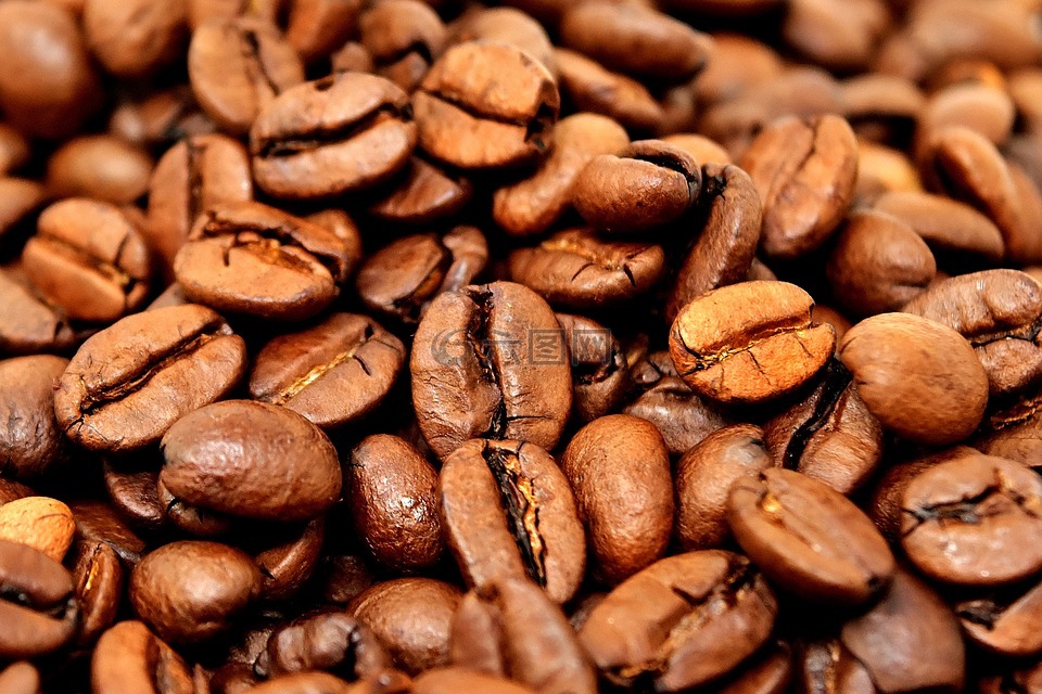 咖啡豆,咖啡,受益
