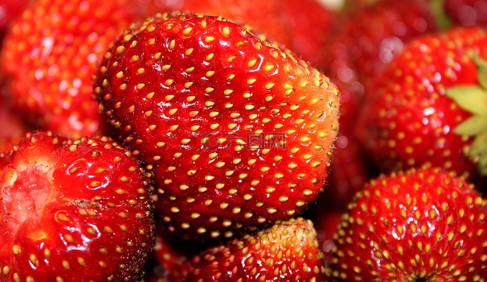 草莓,种子,莓果