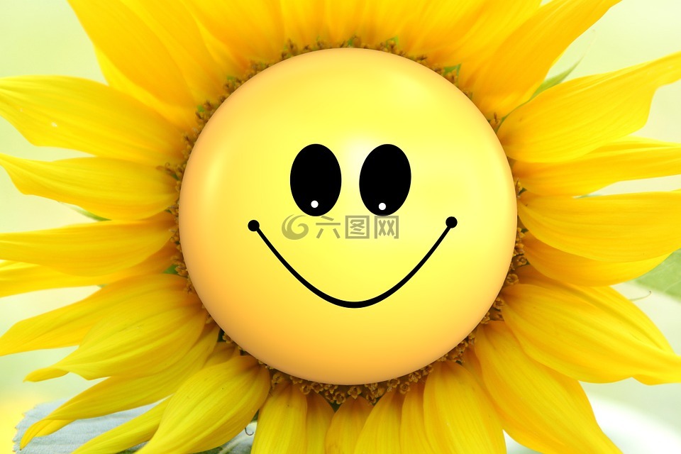 太阳花,鲜花,笑脸