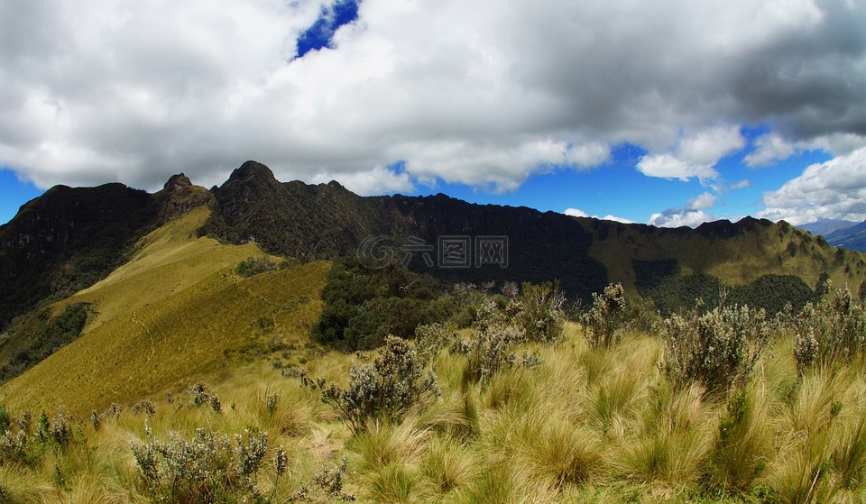 厄瓜多尔,安第斯山脉,pasochoa