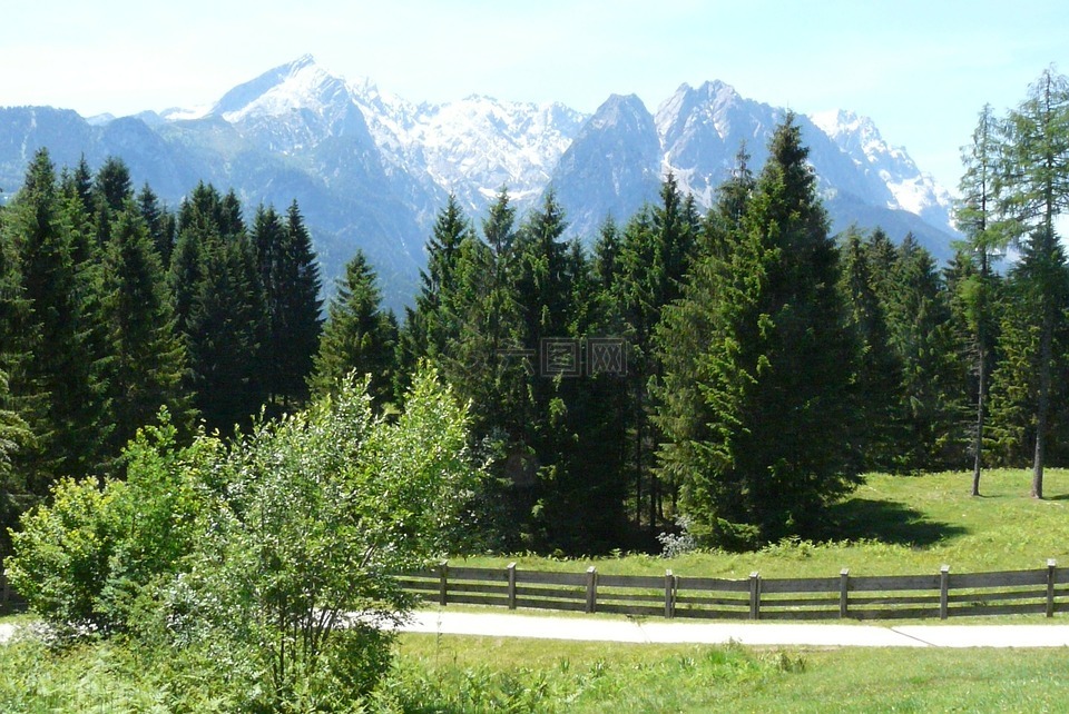 高山,草地,景观