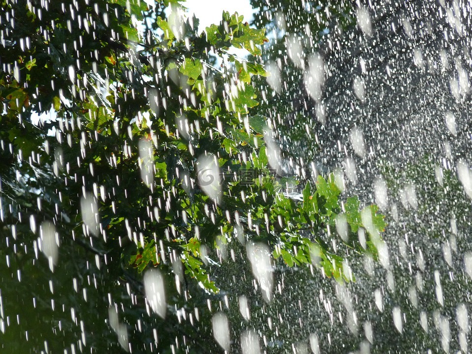 性质,雨,春天