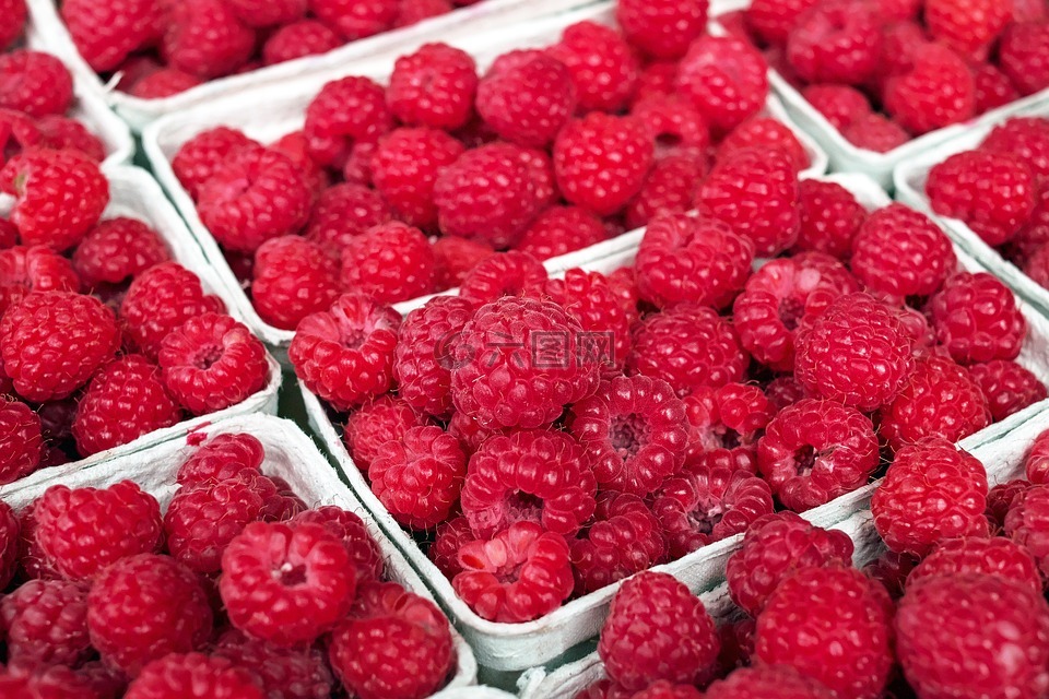 树莓,浆果,水果