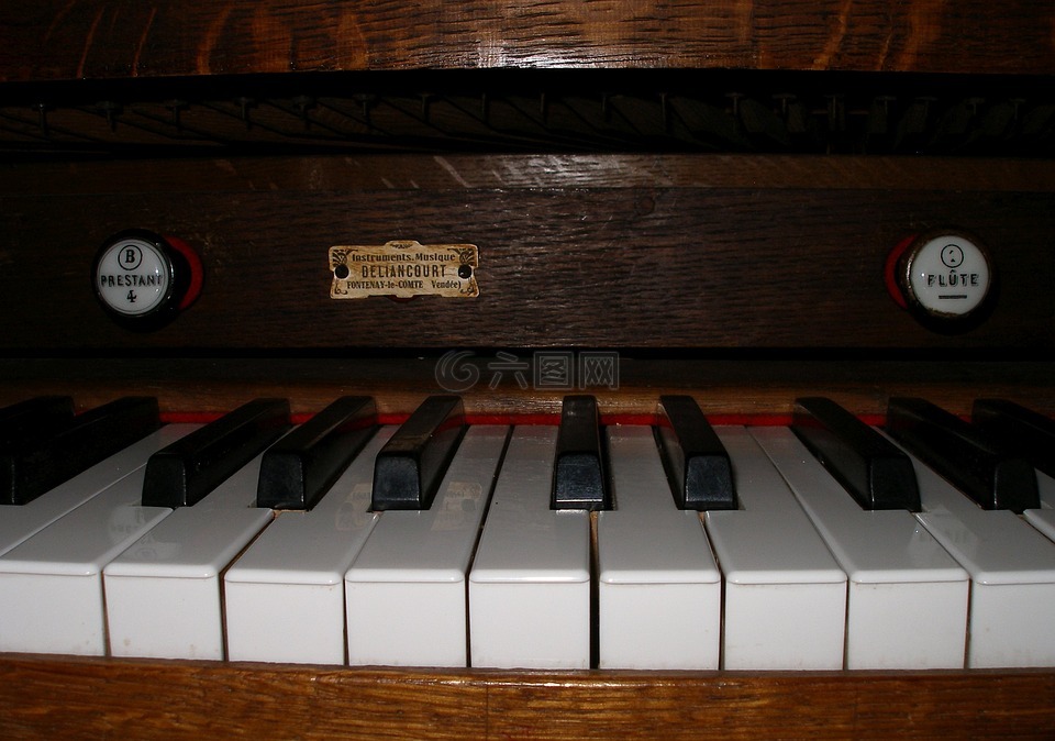 键盘,器官,风琴