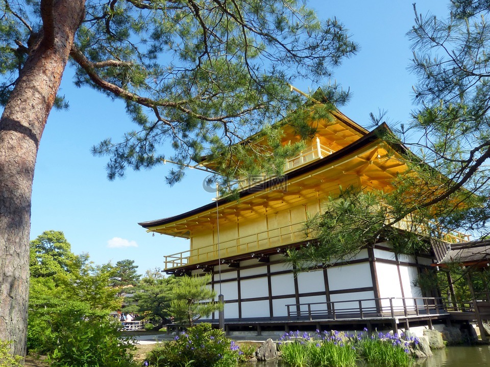 日本,京都府,金阁