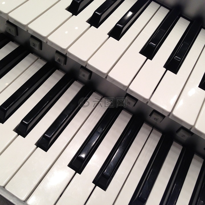 乐器,键盘,电子风琴