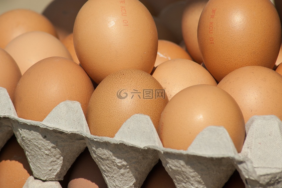 鸡蛋,市场,母鸡