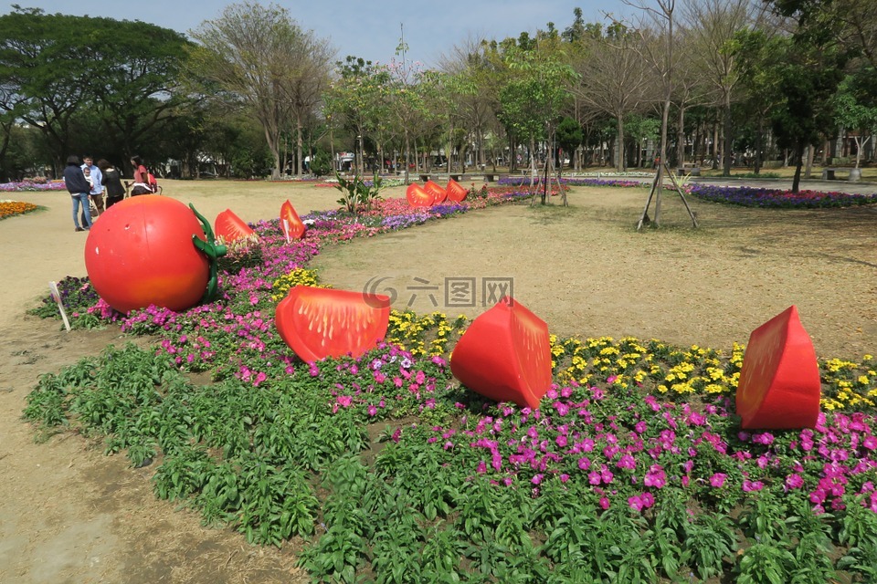 台南百花祭,番茄,水萍塭公園