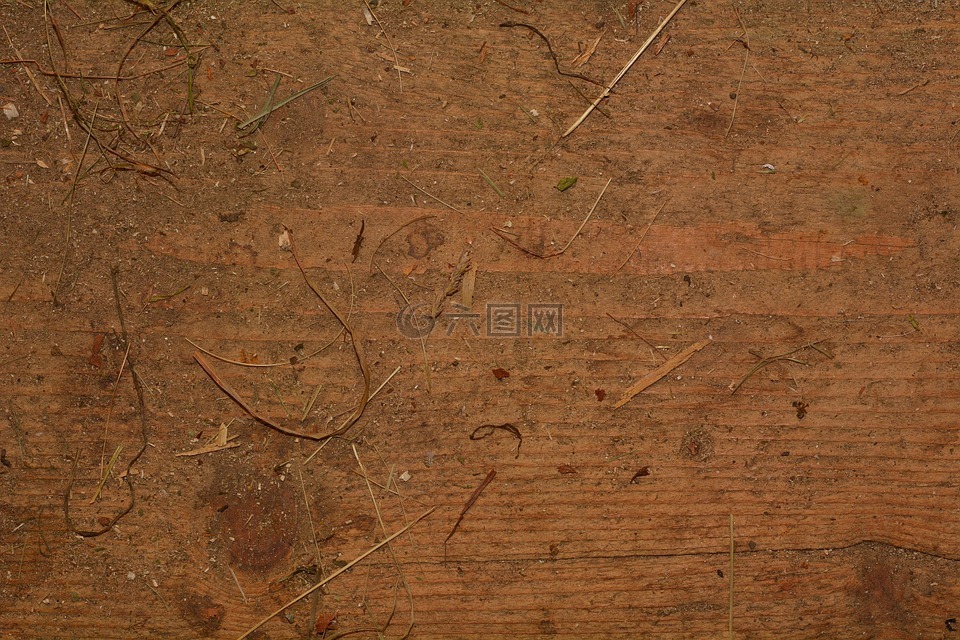 木,木地板,木板