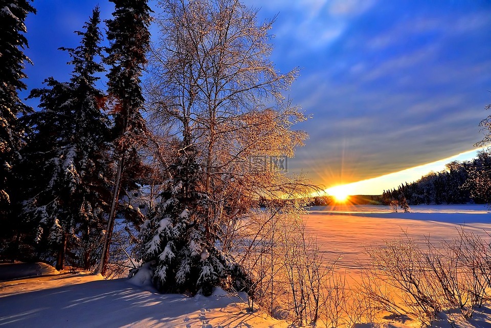 冬天风景,日落,冬天