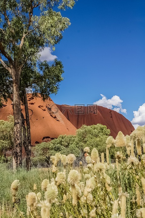 艾尔斯岩,乌鲁鲁,澳大利亚