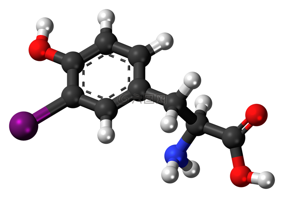 iodotyrosine,分子,化学